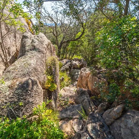 Residenza Di Paola E Francesco - By Searly San Teodoro (Sardinia)
